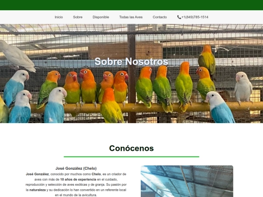 pg/about screenshot