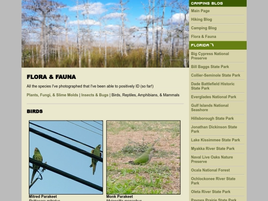animals screenshot