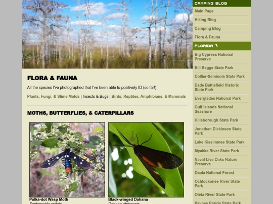 insects screenshot