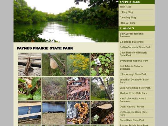paynesprairie screenshot