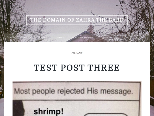 posts/test-post-three screenshot