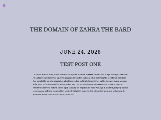 posts/test-post screenshot