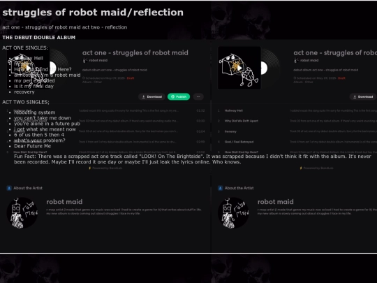 sorm-and-reflection screenshot