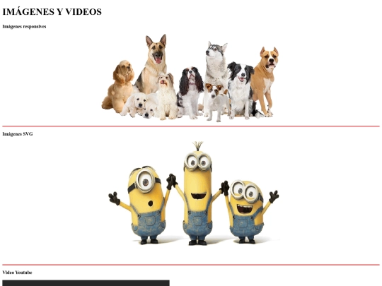 imagen_video screenshot