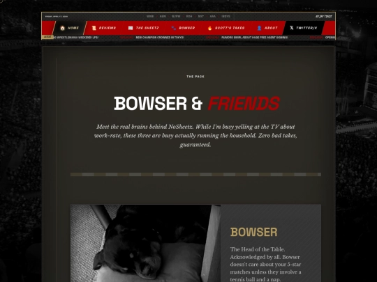 bowser screenshot