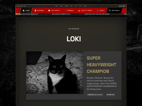loki-profile screenshot