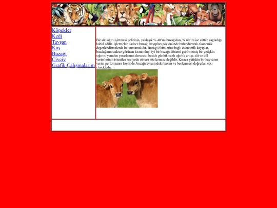 buzagi screenshot
