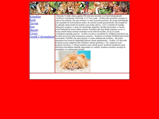 kedi screenshot