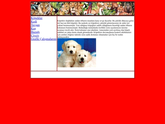 kopek screenshot