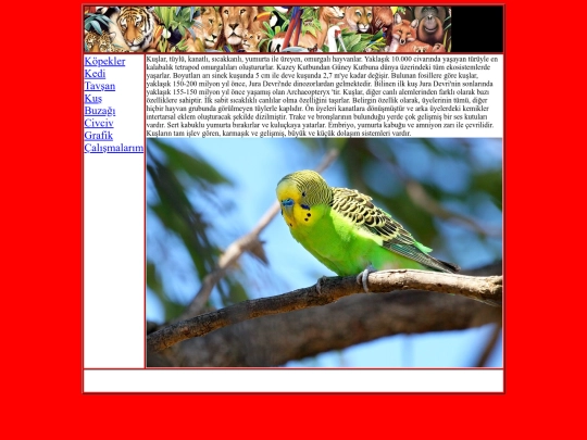 kus screenshot