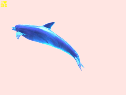 secret screenshot