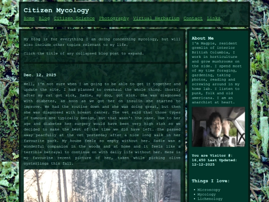 blog screenshot