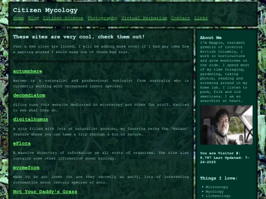 links screenshot