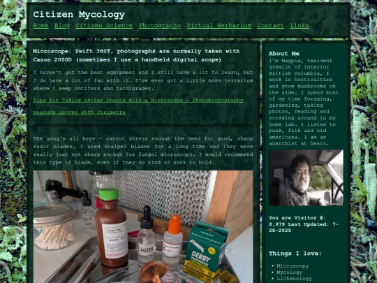 microscopy screenshot