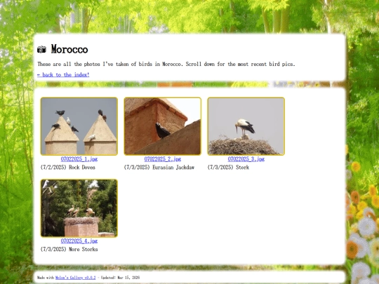 shrines/birds/morocco screenshot