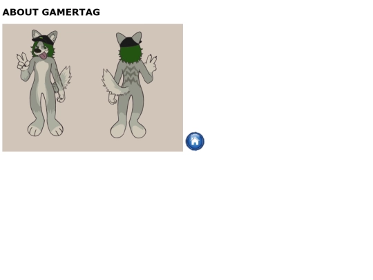 pages/aboutgamertag screenshot
