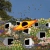 Petal Pusher's World avatar