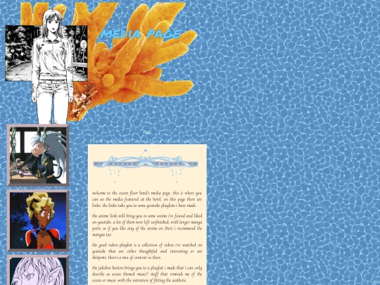media screenshot