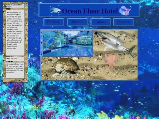 untitled folder screenshot