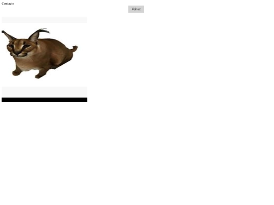 ejemplo1/pages/contactame screenshot