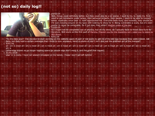 not-so-daily-log screenshot