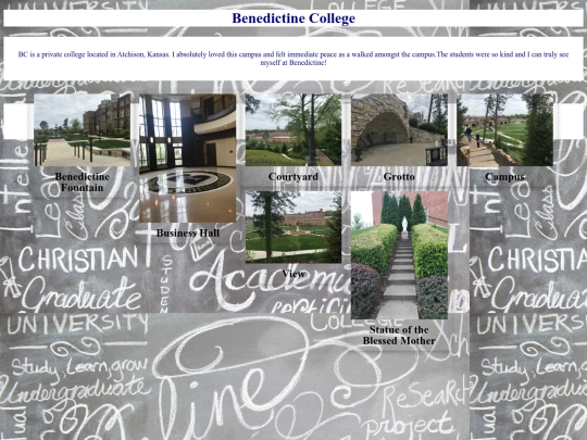 Piercy Final Project/bc screenshot