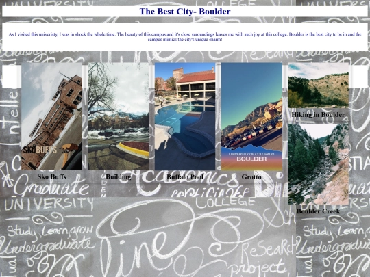 Piercy Final Project/cu screenshot