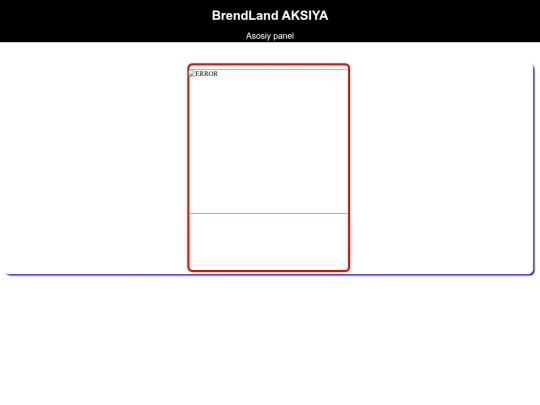 web screenshot