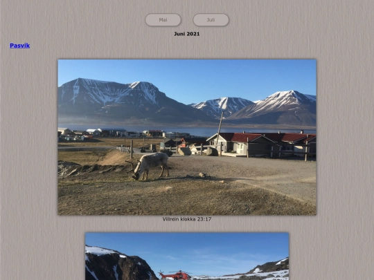tidene/202106 screenshot