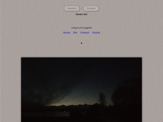 tidene/202110 screenshot