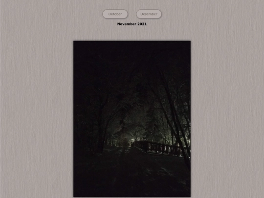 tidene/202111 screenshot