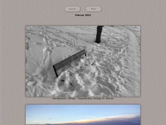 tidene/202202 screenshot