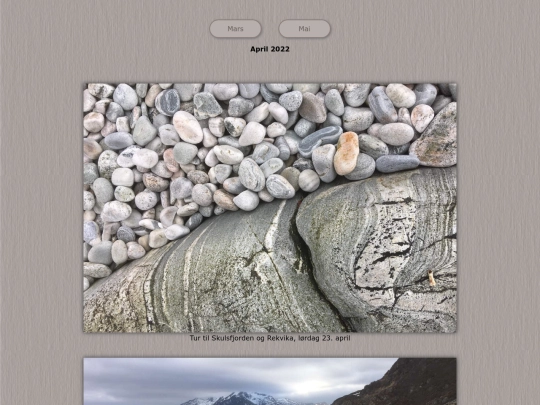 tidene/202204 screenshot