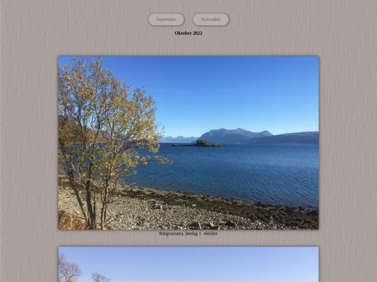 tidene/202210 screenshot