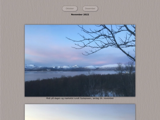 tidene/202211 screenshot