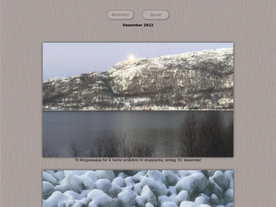 tidene/202212 screenshot