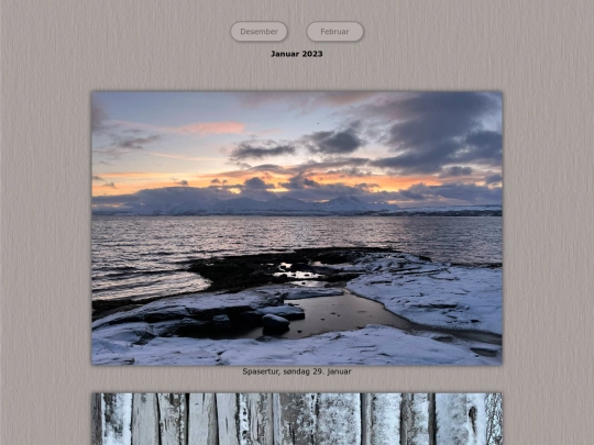 tidene/202301 screenshot
