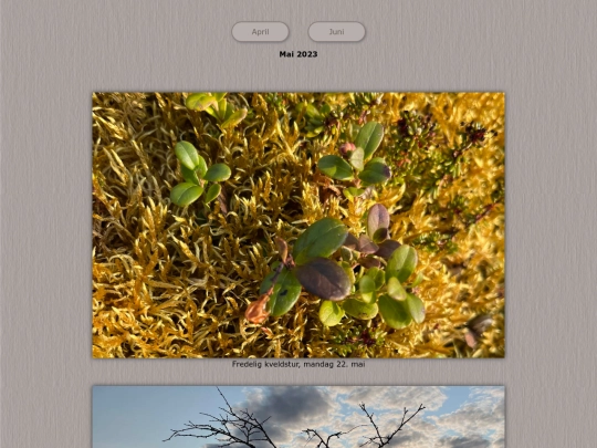 tidene/202305 screenshot
