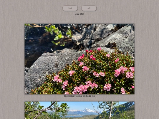 tidene/202306 screenshot