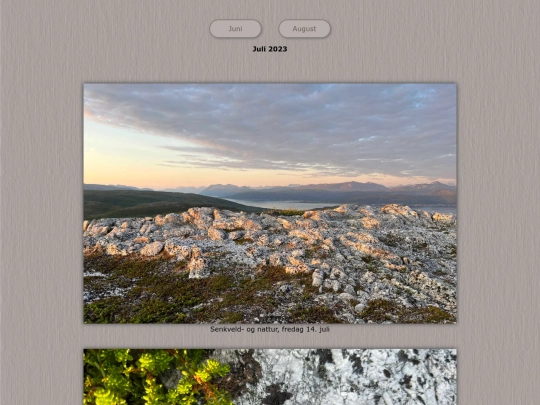 tidene/202307 screenshot
