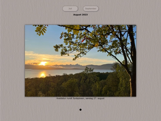 tidene/202308 screenshot