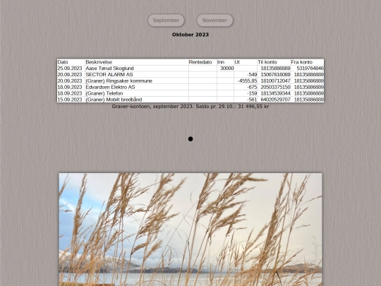tidene/202310 screenshot