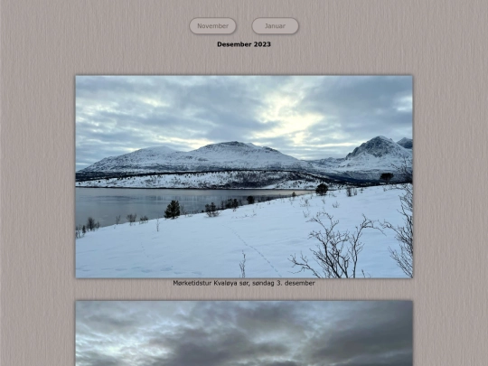 tidene/202312 screenshot
