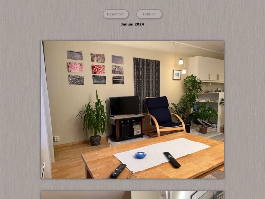 tidene/202401 screenshot