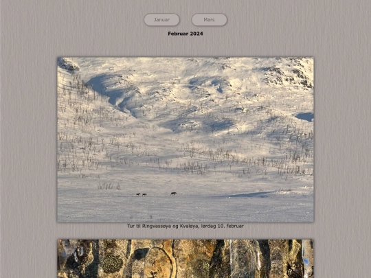 tidene/202402 screenshot