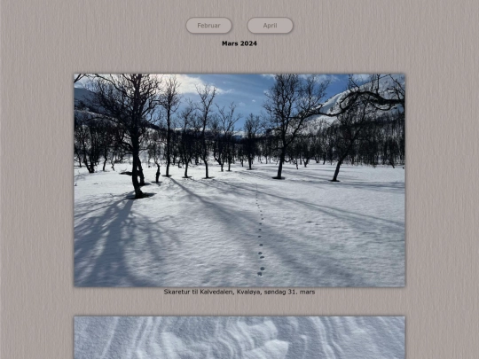 tidene/202403 screenshot