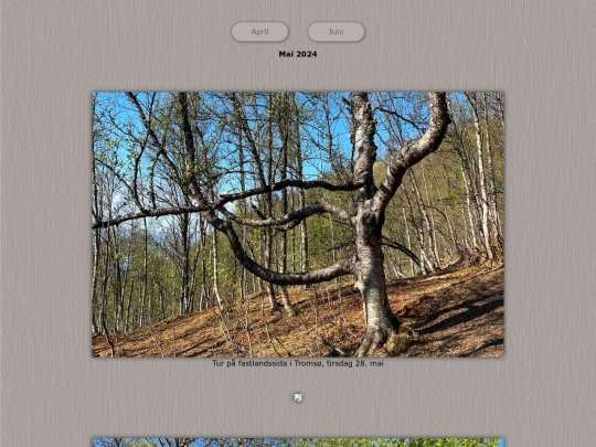 tidene/202405 screenshot