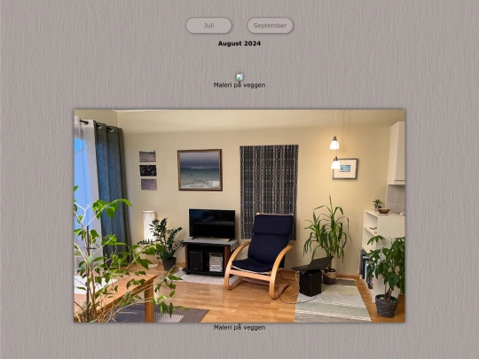 tidene/202408 screenshot
