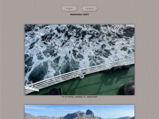 tidene/202409 screenshot