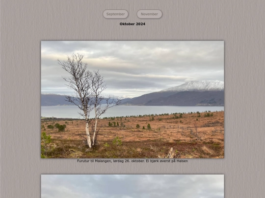 tidene/202410 screenshot